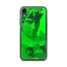 Load image into Gallery viewer, Envy