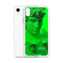 Load image into Gallery viewer, Envy