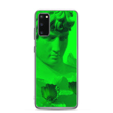 Load image into Gallery viewer, Envy