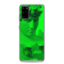 Load image into Gallery viewer, Envy